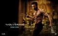 /album/wolverine-/wolverine-1-jpg/